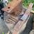 Anvil on stump and blacksmithing tools 7 thumbnail
