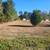 MULCHING, DEBRIS REMOVAL, BUSH HOGGING AND LAND CLEARING 12 thumbnail