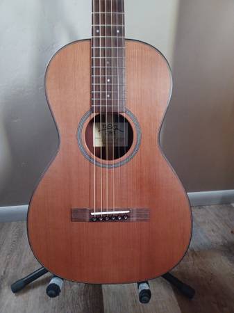 BSG p10f parlor  (luthier built) 1