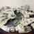 Hasbro STAR WARS Legacy Collection MILLENNIUM FALCON! 8 thumbnail