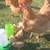🐥 pullets Chicks Egg's and Roosters 8 thumbnail