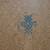 Vintage Folding Chess Board with Carved Pieces 9 thumbnail