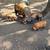 Kune Kune piglets 4 thumbnail