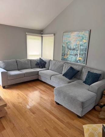Sectional couch 1