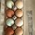 Eggs 2 thumbnail