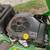 John Deere riding mower 2 thumbnail