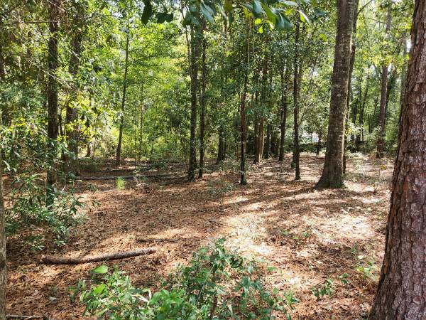 $111,900 / 3br - 1200ft2 - 3/2 .66acre Rehobeth Schools (dothan south)63611859821825123