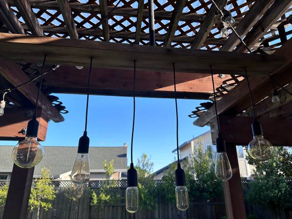 Rustic light fixture 1