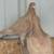 Homing pigeons 1 thumbnail