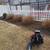 JunO's Landscaping 9 thumbnail
