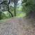 Little Uvas Road 21 acres, owner financing, water and five nice pads! 20 thumbnail