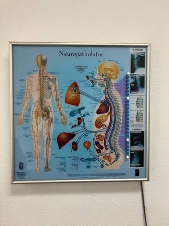 Chiropractic Neuropatholator 1