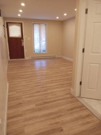 Newly renovated 3.5 apartment for rent - all appliances included 3