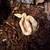 2025 1.0 Sharp Albino Boa for rehoming 2 thumbnail