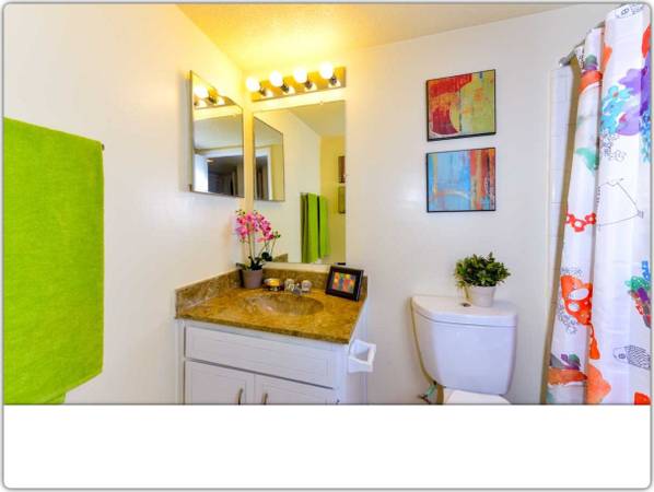 $995 / 1hab - 850ft2 - Ubicación conveniente para viajeros frecuentes – ¡En la línea de autobús! 1 habitación, 1 baño (Stone Mountain - Cerca de Stone Mountain Plaza)63964126861826122
