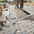 General Contractor concrete, Masonry, stone, Pavers,turf,landscape,stucco, wood 4 thumbnail