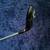 Callaway Paradym Hybrid 21* 5 thumbnail