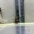 Pleco Zebra L046 2 thumbnail