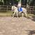 Horseback Riding Lessons 10 thumbnail