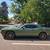 dodge challenger low mileage 9 thumbnail
