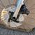 2022 Specialized Aethos Pro, Ultegra, 54cm 9 thumbnail