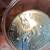 2026 Enduring Liberty half dollar Error. 2 thumbnail