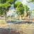 Charles Peterson Door County artwork; prints and originals 20 thumbnail