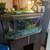 Complete Aquarium Setup - Includes Turtle, Canister Filter, Food & All 3 thumbnail