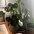Logan Square Sublease - WALK TO EVERYTHING 3 thumbnail