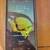 Zte  Zmax Cell Phone Cracked Screen 1 thumbnail