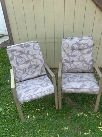 Comfortable Tan Chairs (Set) 1
