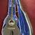 1996 Ovation 1867 Legend Acoustic/Electric Guitar - Black with OHSC 1 thumbnail