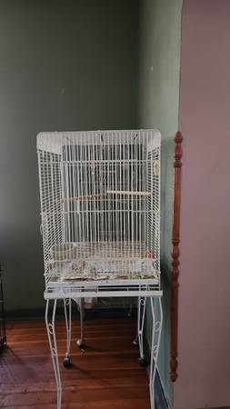 Bird cage 1