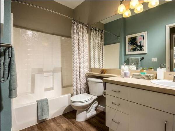$3,372 / 3br - 1303ft2 - Walk-In Closets, Fitness Center, Full Size Washer and Dryer (2460 South Rubel Way)63663819261187123
