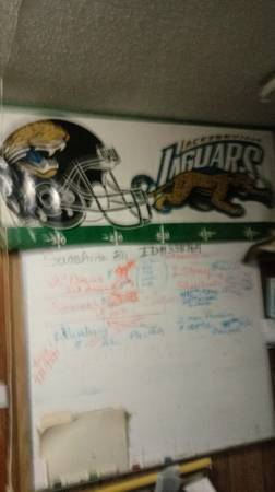 JAGUARS  wall  poster 1