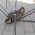 Repurposed Metal Yard Art GIANT SPIDER 52 Pounds, 5' Wide x 3.5' Long 5 thumbnail