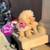 Toy Teddy Bear Poodle 1 thumbnail