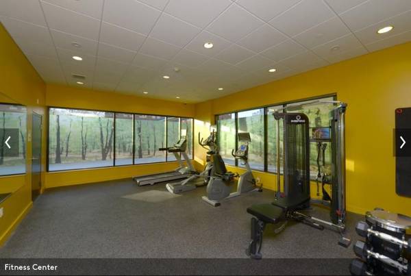 $4,200 / 2br - Cambridge 2 Bed/2 Bath Apartment | Concord Ave (Cambridge Highlands)63931376439298121