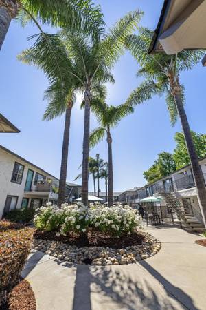 $2,751 / 1br - 665ft2 - 1 Bed - 1 Bath, ❣Love where you Live! Start at Cielo!❣ (campbell)63880013755651120