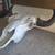 American Bison Buffalo Skull with a 23 inch wide horn spread 1 thumbnail