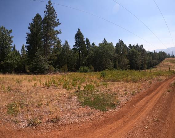 $19,900 Cheap land! 5 acres vacant land Montgomery Creek, CA with mature trees (Montgomery Creek, CA)63972531645698122