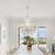 Schonbek Olde World Crystal Chandelier 52"x36" 23 Lights 6815 Radiance 2 thumbnail
