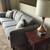 Couch and loveseat 2 thumbnail
