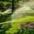 Landscaping/Tree cutting/Gutter clean out/Irrigation 1 thumbnail
