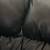 Two Black Couches 7 thumbnail