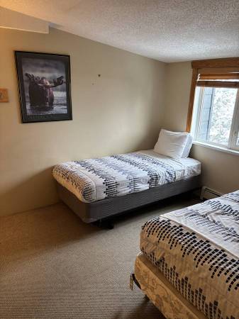 Creekside Whistler - Largest Private 1BR, Two Twin Beds, Winter Season 3