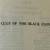 The Clue of the Black Flower 1956 Book by Carolyn Keene No 18 Dana Mys 5 thumbnail