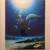 Wyland Manatee Visit signed and Numbered 1 thumbnail