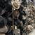 North Hollywood Vintage Costume Liquidation – Everything Must Go! 2 thumbnail