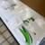 E-flite UMX Conscendo BNF Basic with AS3X and SAFE - New! 3 thumbnail